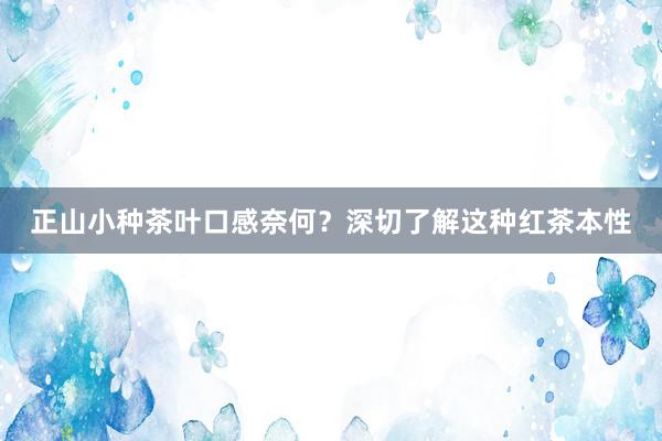 正山小种茶叶口感奈何？深切了解这种红茶本性